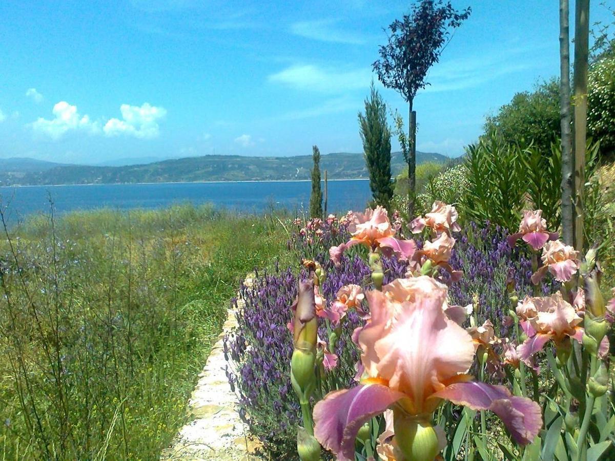 Marvelous Sea View Eco Apt Ammouliani Exterior foto
